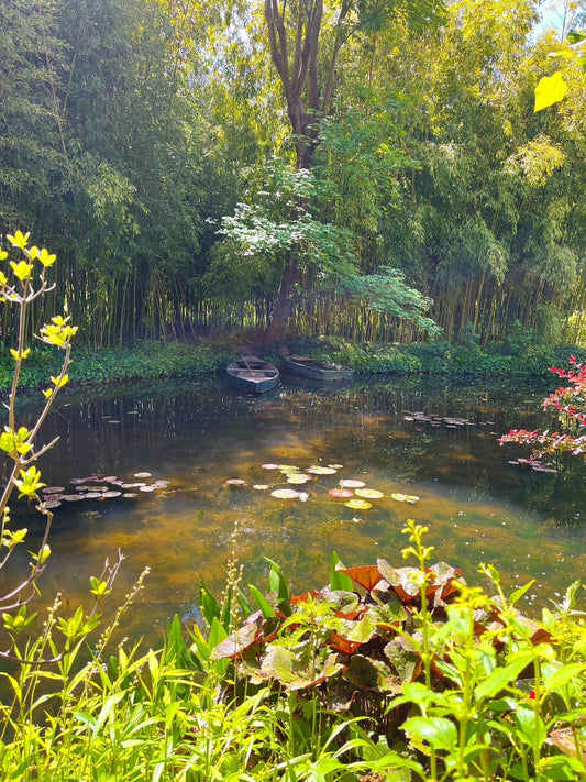 DAY TRIP TO MONET'S GARDEN