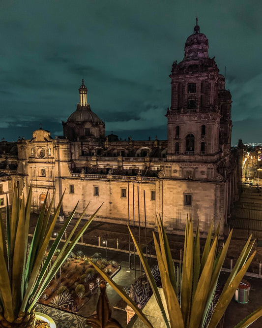 MEXICO CITY BUCKET LIST