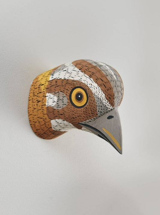 Handmade, hand carved wood, hand painted wooden animal head masks, artifact. One-of-a-kind, unique wall decor, sit-about home décor. Artisan made Chané mask. Bird.