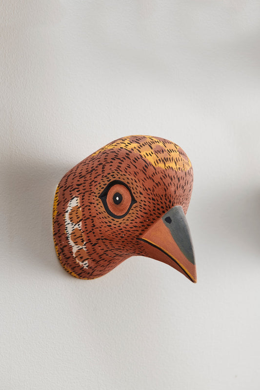 Handmade, hand carved wood, hand painted wooden animal head masks, artifact. One-of-a-kind, unique wall decor, sit-about home décor. Artisan made Chané masks in Argentina. Bird.