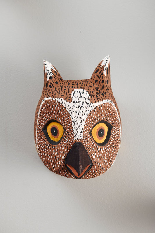 Handmade, hand carved wood, hand painted wooden animal head masks, artifact. One-of-a-kind, unique wall decor, sit-about home décor. Artisan made from Chané artisans in Argentina. Owl, Bird.