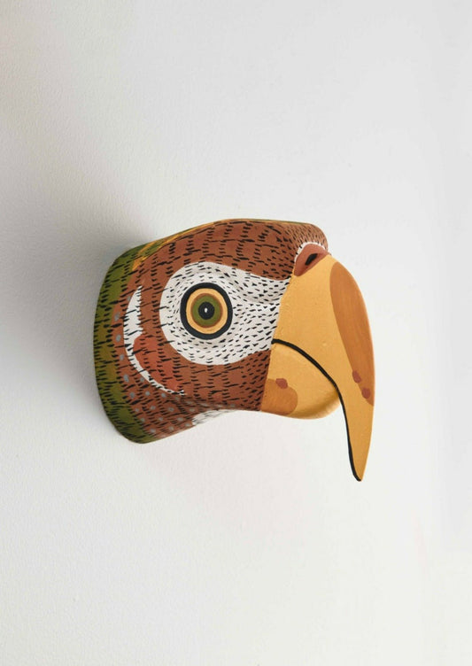 Handmade, hand carved wood, hand painted wooden animal head masks, artifact. One-of-a-kind, unique wall decor, sit-about home décor. Artisan made Chané mask in Argentina. Bird, Parrot.