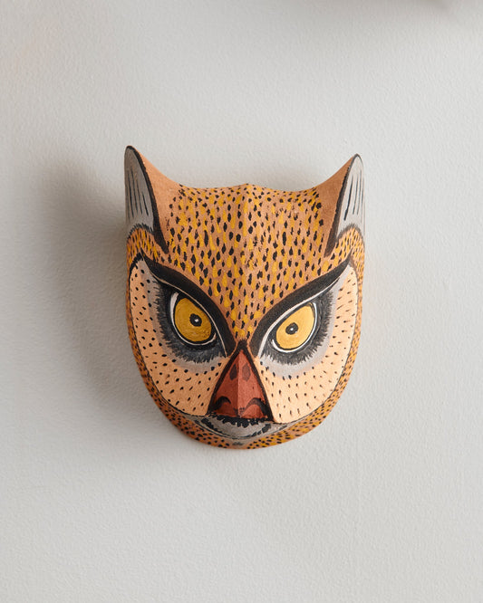 Handmade, hand carved wood, hand painted wooden animal head masks, artifact. One-of-a-kind, unique wall decor, sit-about home décor. Artisan made Chané mask in Argentina. Owl, Bird.